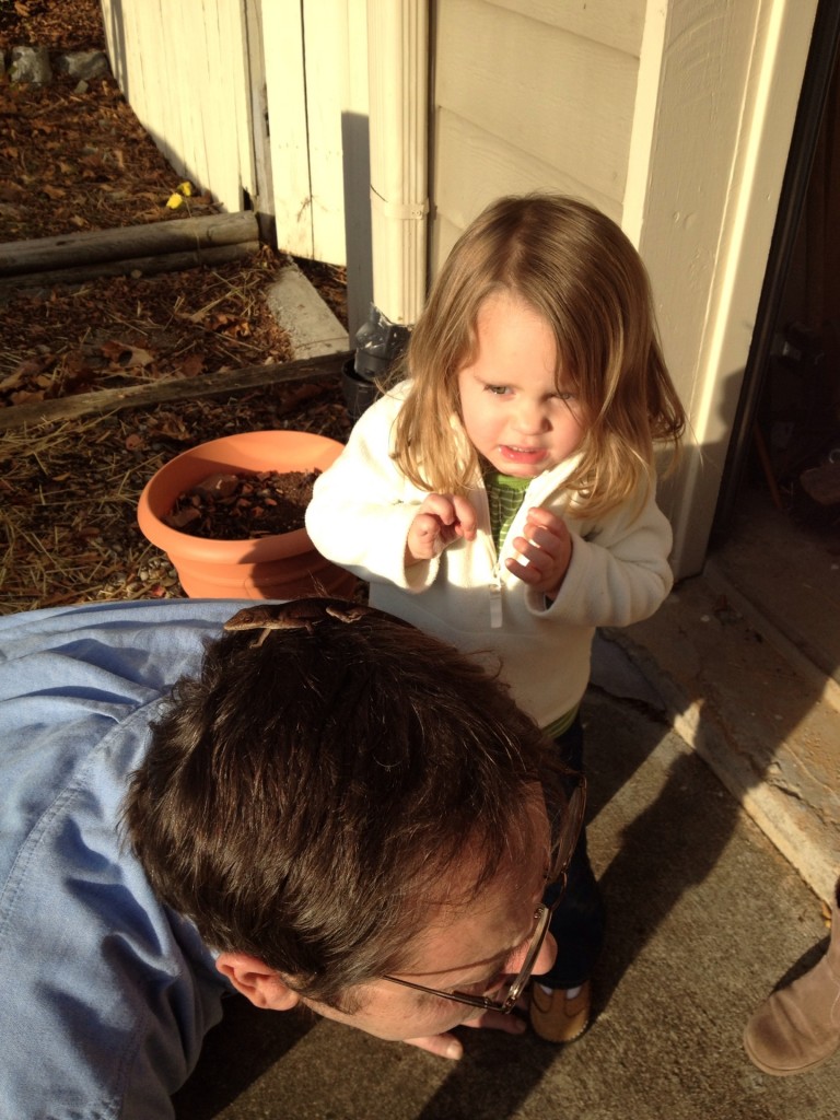 lizard and pop lizard and pop 768x1024 Nature Study at Nana & Pops