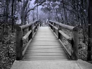 walkway what lies ahead 300x225 What Lies Ahead