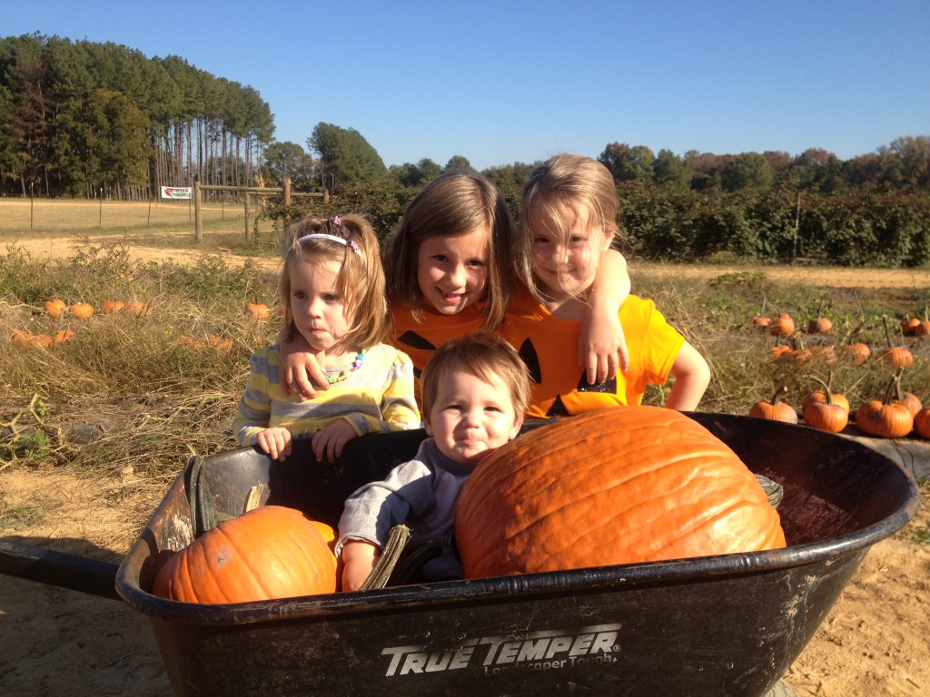 kids & pumpkin kids pumpkin 1024x768 7 Quick Takes: The Photo op & Shes Risen from the Blogging Dead Edition